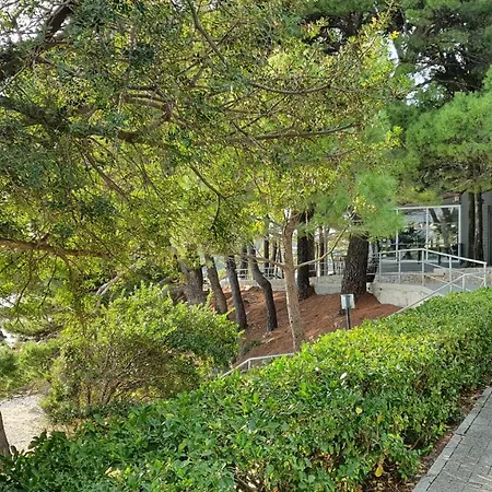 Kligge Apartman Mlini