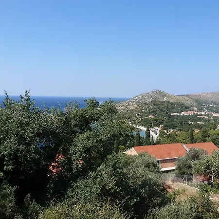 Kligge * Mlini